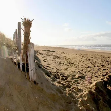Vakantiehuis Stunning In Near Noordwijk