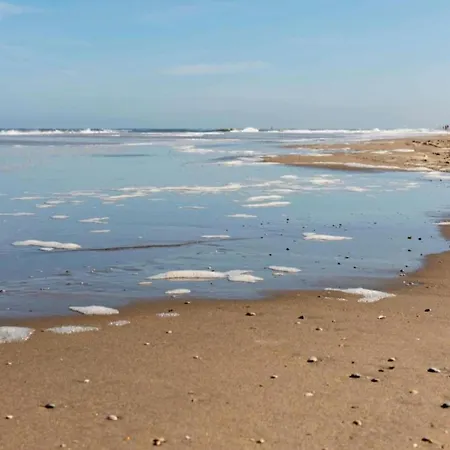 Stunning In Near Vakantiehuis Noordwijk
