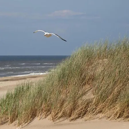 Semesterbostad In Near