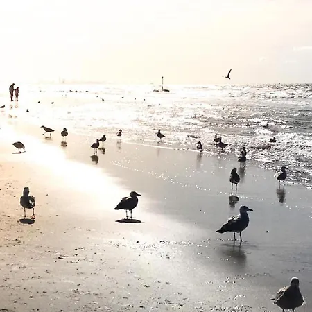 Prázdninový dům In Near