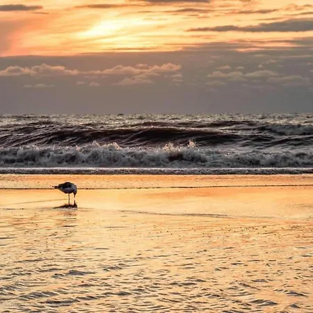 Semesterbostad In Near