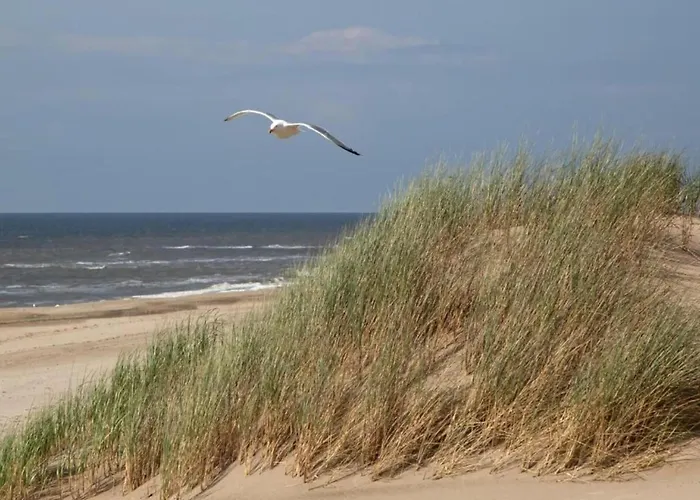 Hébergement de vacances In Near