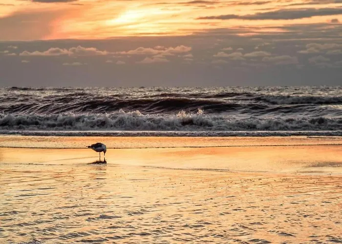 Dom wakacyjny In Near