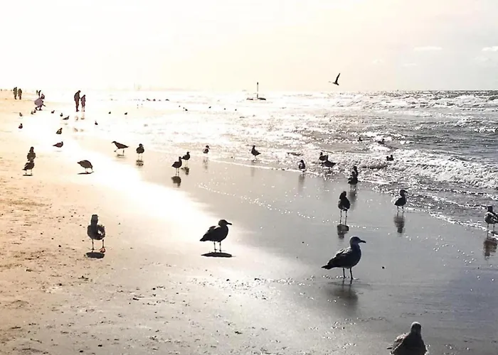 בית נופש In Near